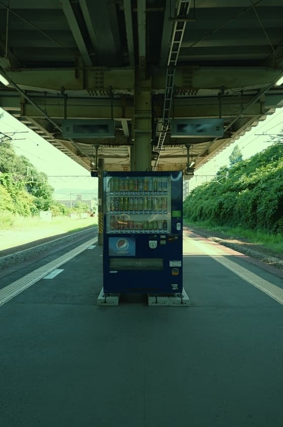 Hokkaido, Japan Pt.1: Furano & Biei photo