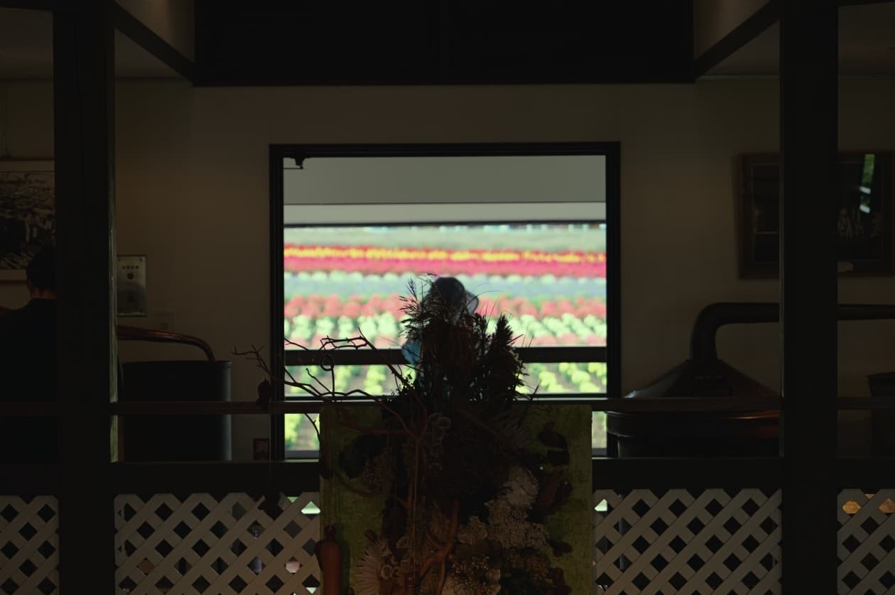 Hokkaido, Japan Pt.1: Furano & Biei photo