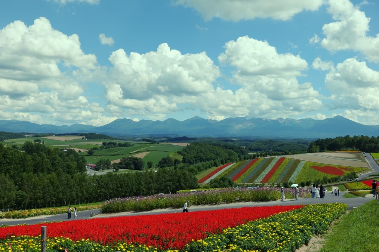 Hokkaido, Japan Pt.1: Furano & Biei photo