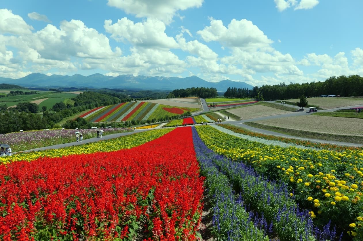 Hokkaido, Japan Pt.1: Furano & Biei photo