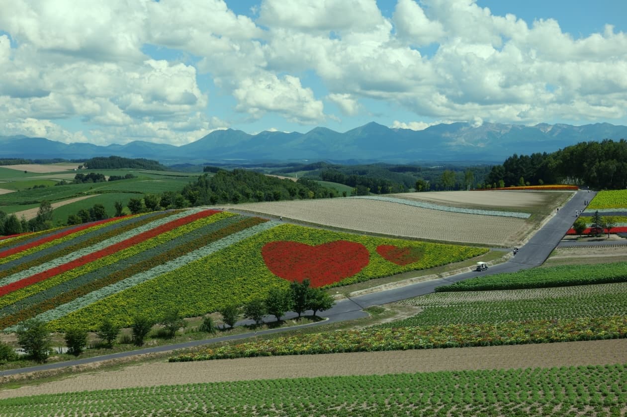 Hokkaido, Japan Pt.1: Furano & Biei photo