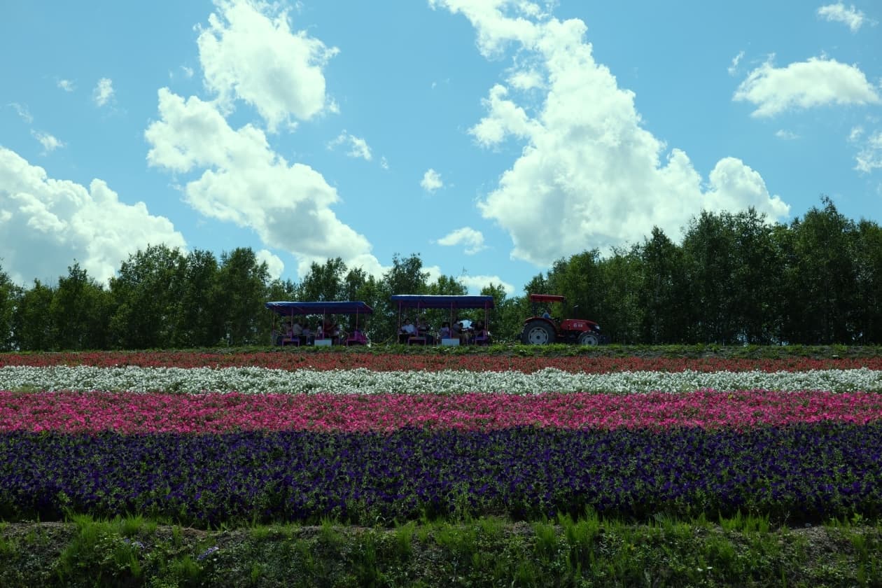 Hokkaido, Japan Pt.1: Furano & Biei photo