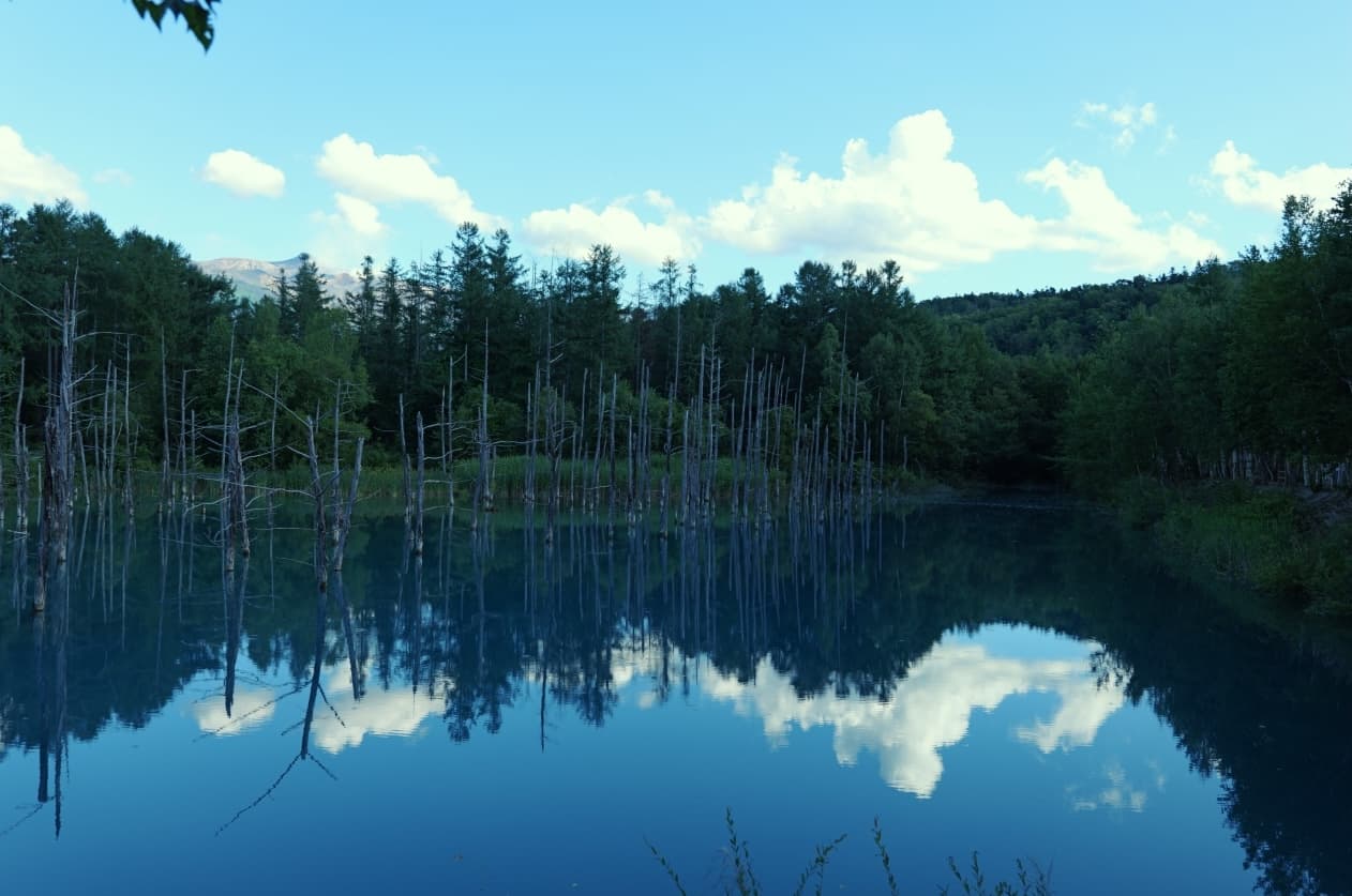 Hokkaido, Japan Pt.1: Furano & Biei photo