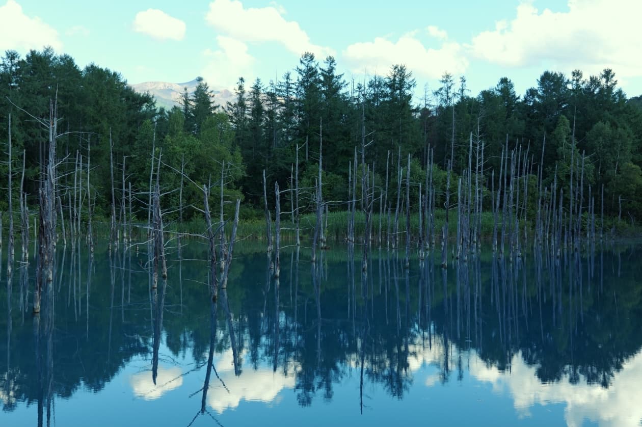 Hokkaido, Japan Pt.1: Furano & Biei photo